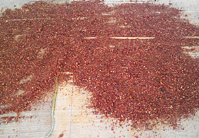 炒藥流水線(xiàn)